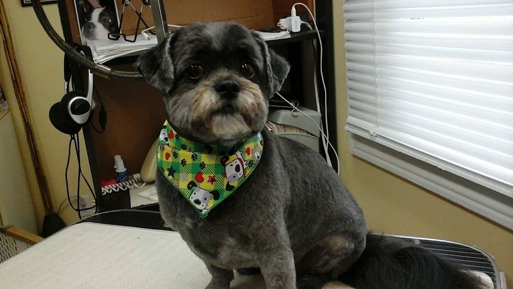 Candi Cares Professional Dog Grooming | 477 OConnell Rd, Peterborough, ON K9J 4E1, Canada | Phone: (705) 748-6063