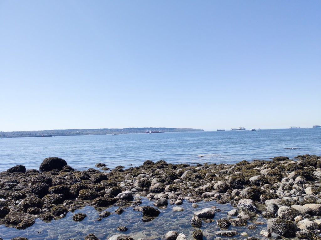 Stanley Park Seawall | Stanley Park Dr, Vancouver, BC, Canada | Phone: (604) 873-7000