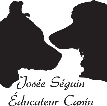 Josée Séguin Éducateur Canin | 625 Côte de Terrebonne, Terrebonne, QC J6Y 1G4, Canada | Phone: (514) 575-8981