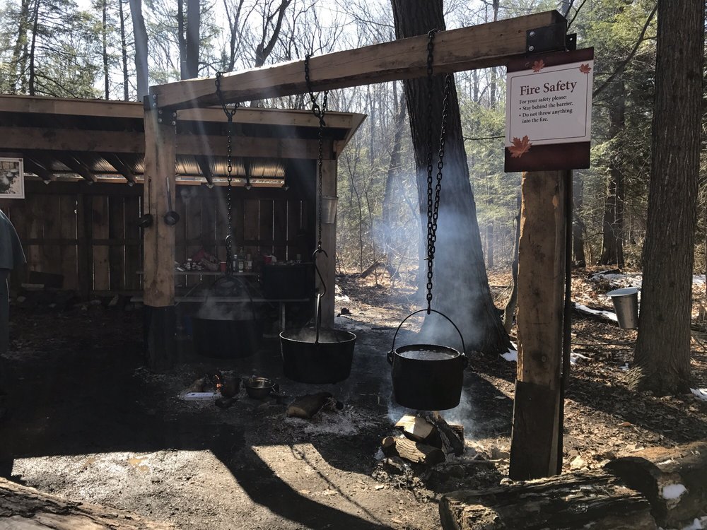 Sugarbush Maple Syrup Festival at Bruces Mill Conservation Area | 3291 Stouffville Rd, Whitchurch-Stouffville, ON L4A 7X5, Canada | Phone: (905) 887-5531