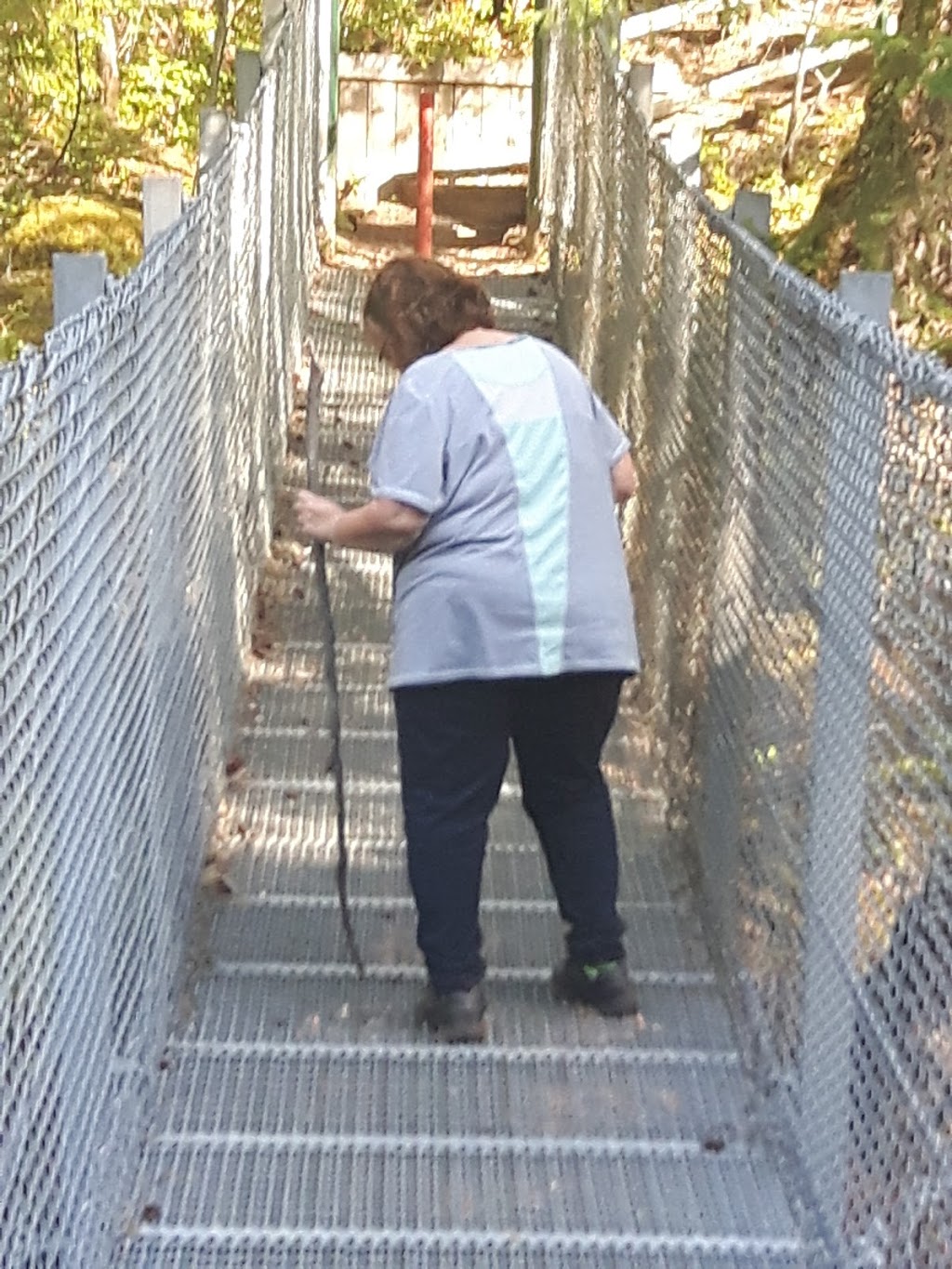 Haslam Creek Suspension Bridge | Trans Canada Trail, Lake Cowichan, BC V0R 2G0, Canada