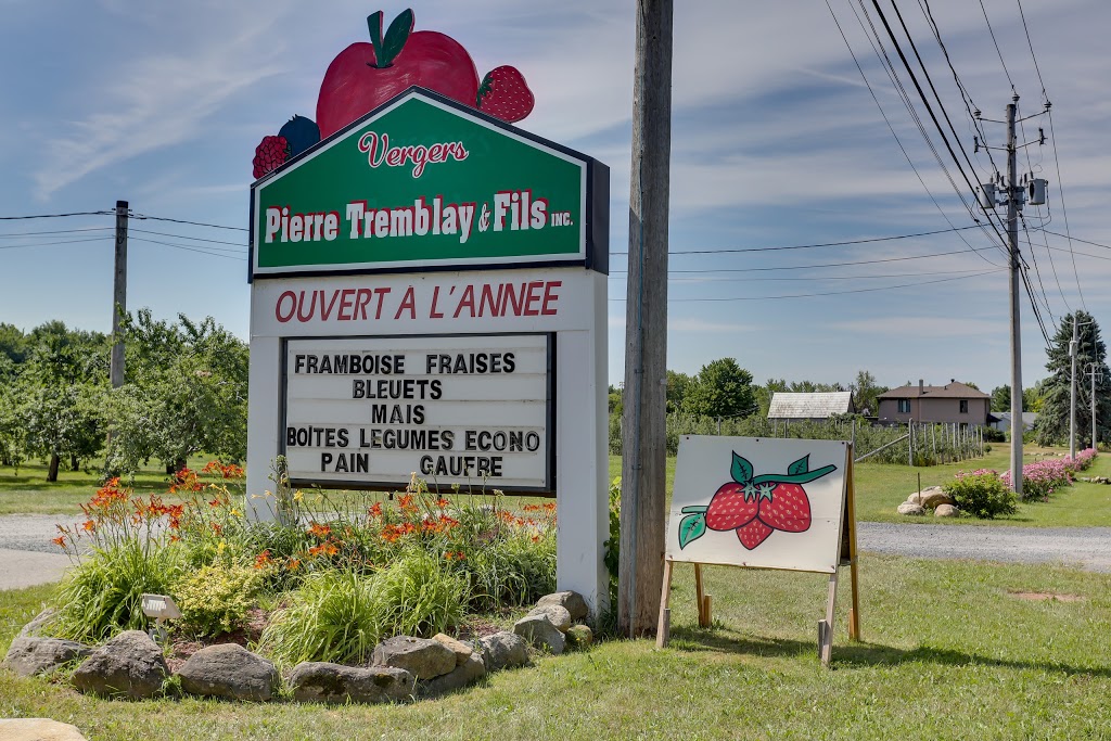 Fraisiere Du Verger Pierre | 375 Rang de la Montagne, Mont-Saint-Grégoire, QC J0J 1K0, Canada | Phone: (450) 347-6336