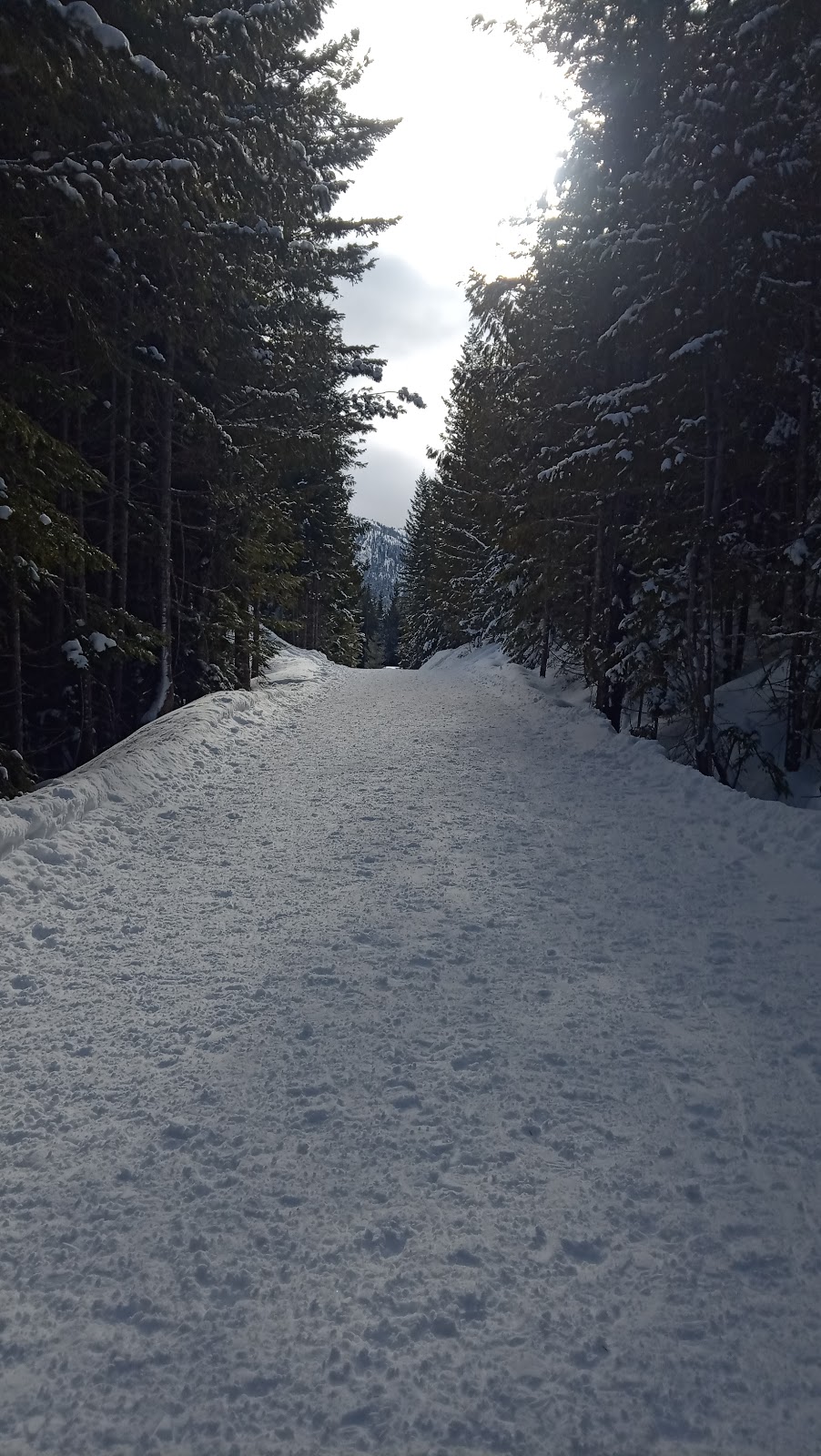 Highline Trailhead | Canada, British Columbia, Britannia Beach, Unnamed Road邮政编码: V0N 1J0