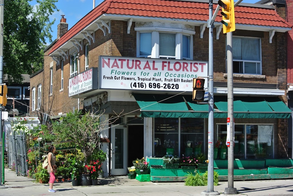 Natural Florist | Toronto, ON M4C 1J4, Canada | Phone: (416) 696-2620