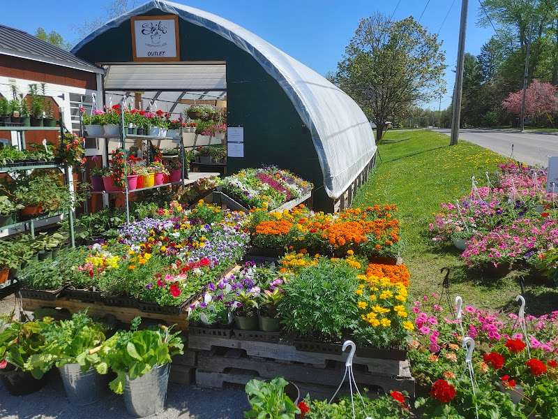 Sheilas Greenhouse | 945 Moscow Rd, Yarker, ON K0K 3N0, Canada | Phone: (613) 217-8067