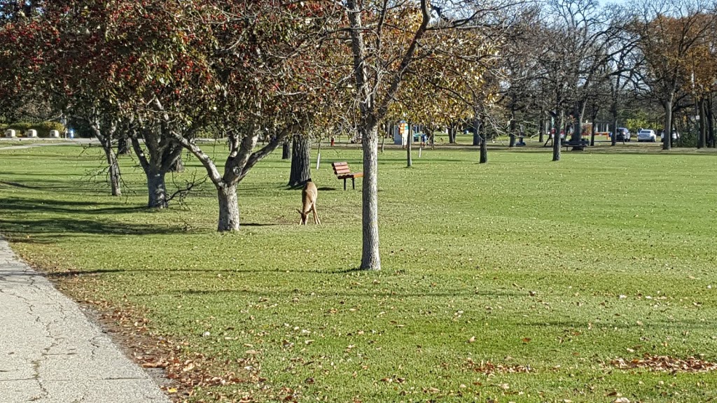 Nature Plaground Parking Lot | 2595 Pavilion Crescent, Winnipeg, MB R3P 2N6, Canada