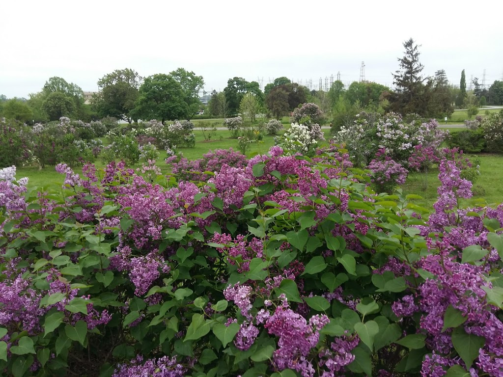 Centennial Lilac Garden | 14004 Niagara Pkwy, Niagara Falls, ON L2E, Canada
