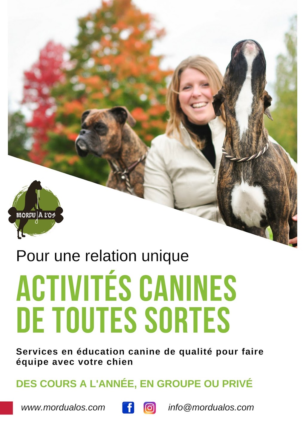 Dressage de chien | Mordu à los | 1550 Rue St Aimé, Drummondville, QC J2B 2S8, Canada | Phone: (819) 388-7833