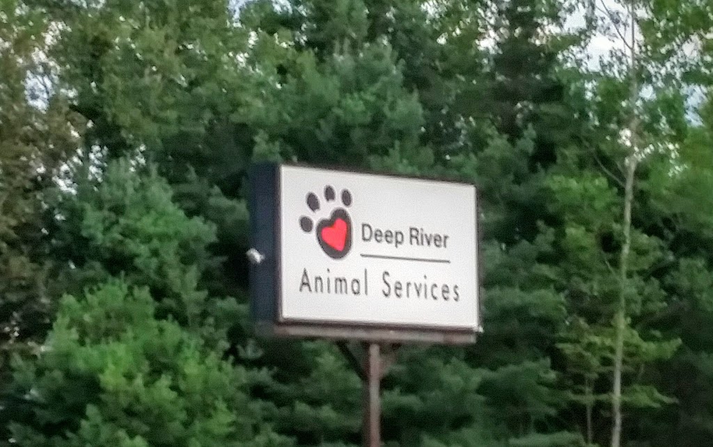 Deep River Animal Services | 33202 ON-17, Deep River, ON K0J 1P0, Canada | Phone: (613) 584-2252