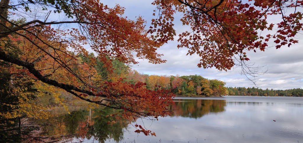 Hardy Lake Trail Head | Muskoka District Road 169, Gravenhurst, ON P1P 1R2, Canada