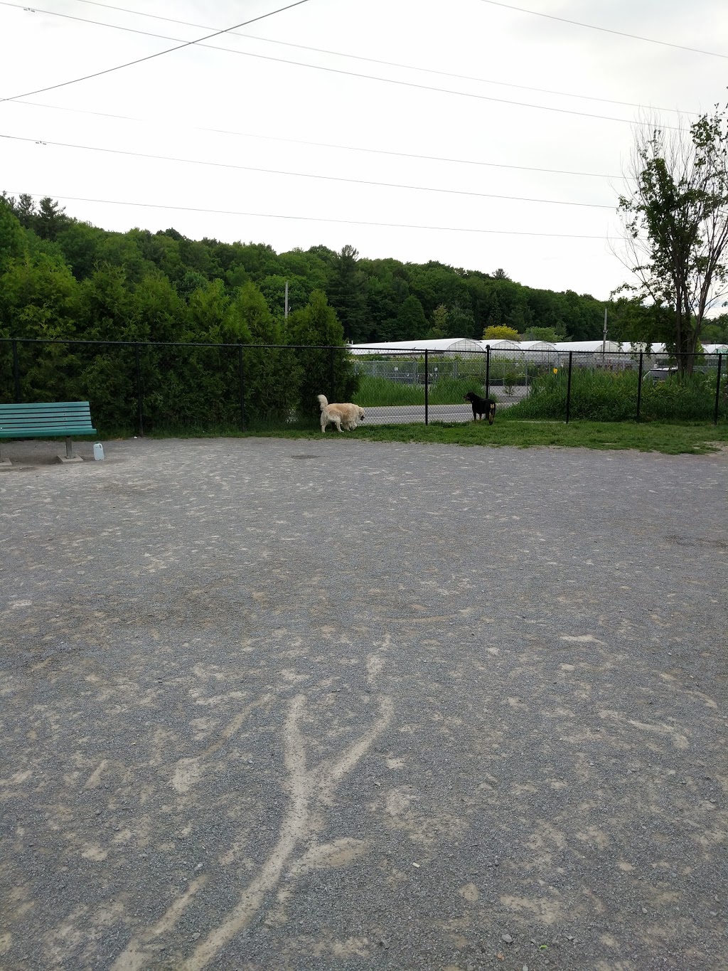 Canine Park | 949 Av Châteaubriant, Mascouche, QC J7K 3N7, Canada | Phone: (450) 474-4133