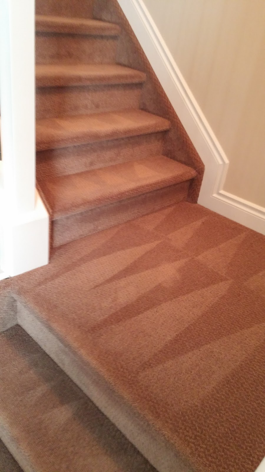 Dans Carpet & Upholstery Cleaning | 13316 113a St NW, Edmonton, AB T5E 5C1, Canada | Phone: (780) 951-0534