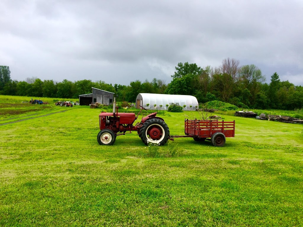 L’Agricultrice Michelle Poupart inc. | 2560 QC-219, Saint-Jean-sur-Richelieu, QC J2Y 1H6, Canada | Phone: (514) 710-2572