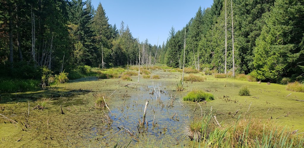 Swallows Keep | 1155 Devina Dr, Galiano Island, BC V0N 1P0, Canada | Phone: (250) 539-9923