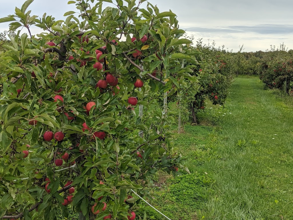 Smiths Apples and Farm Market | 470 The River Rd, Port Elgin, ON N0H 2C7, Canada | Phone: (519) 832-3051