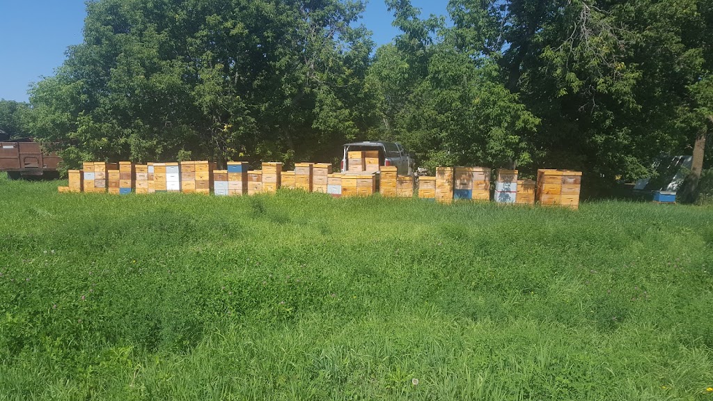 Faith Apiaries | 32076 Rd 89 N, Poplar Park, MB R0E 1C0, Canada | Phone: (204) 232-5180