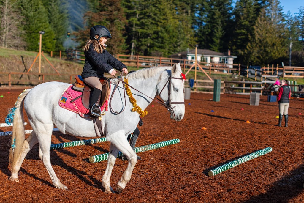 Cedar Vista Stables | rd 3x8, 4060 Happy Valley Rd, Victoria, BC V9C 3X8, Canada | Phone: (250) 391-1484