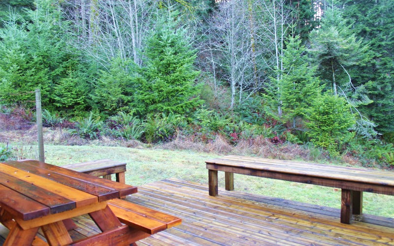 La Peetch Private Cottage | 565 Horel Rd, Salt Spring Island, BC V8K 2C5, Canada | Phone: (778) 223-9518