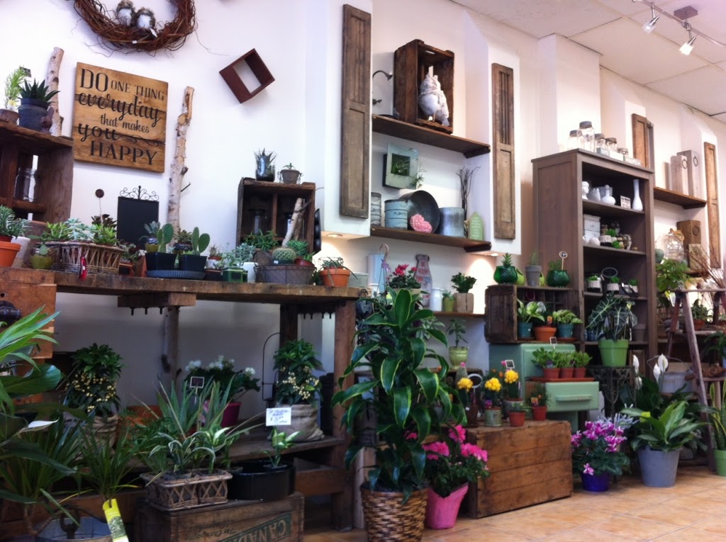 Hills Florist & Fruit Baskets | 943 Bloor St W, Toronto, ON M6H 1L5, Canada | Phone: (416) 531-1109