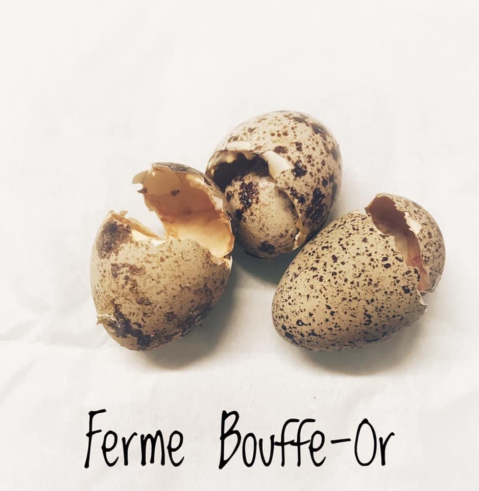 Ferme Bouffe-Or | 234 QC-133, Sabrevois, QC J0J 2G0, Canada | Phone: (450) 358-2788