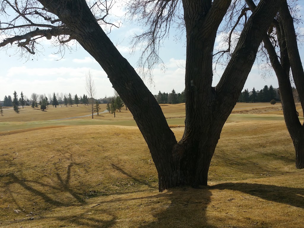 Land-O-Lakes Golf & Country Club | 102 Fairway Dr, Coaldale, AB T1M 1H1, Canada | Phone: (403) 345-2582