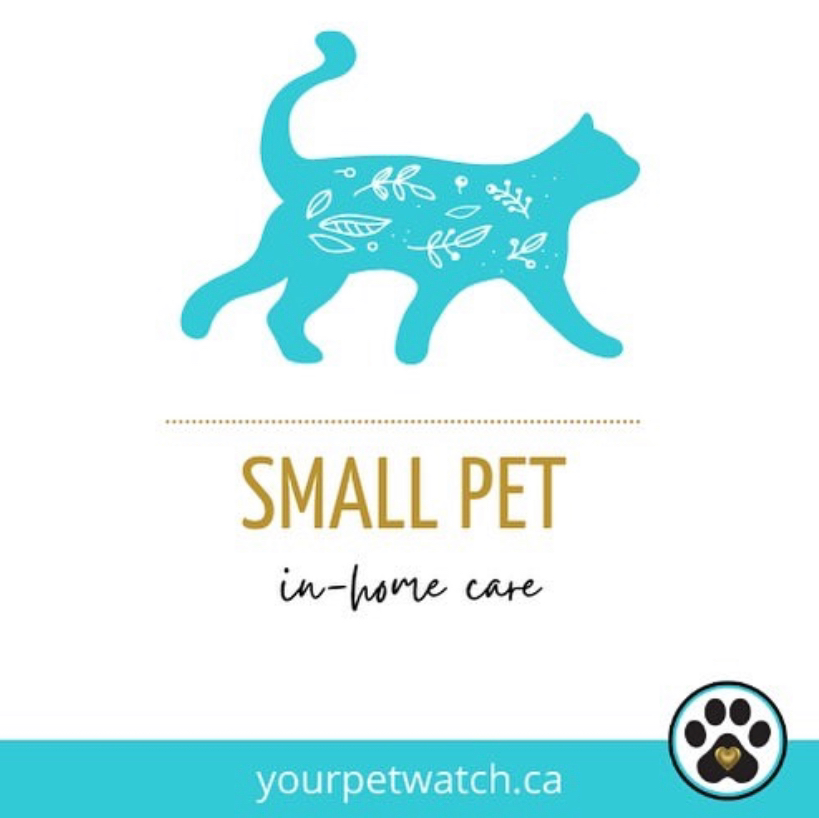 your PetWatch Red Deer | Red Deer County, 28319 Township Rd 384, Red Deer, AB T4S 2A4, Canada | Phone: (403) 350-8861