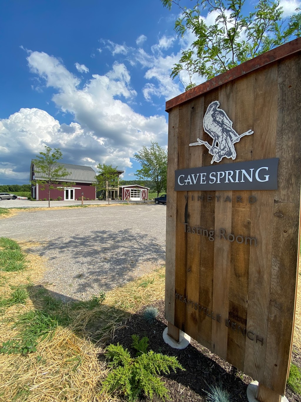 Cave Spring Vineyard | 4043 Cave Spring Rd, Beamsville, ON L0R 1B1, Canada | Phone: (905) 563-9393