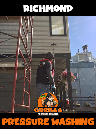 Gorilla Property Services | 12100 Riverside Way #299, Richmond, BC V6W 1K5, Canada | Phone: (604) 467-4552