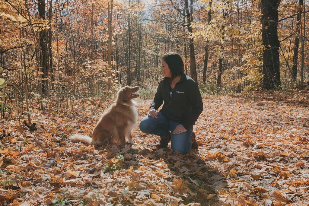 Helping Paws Professional Dog Training and Services | 202 Percy St, Waubaushene, ON L0K 2C0, Canada | Phone: (705) 427-6428