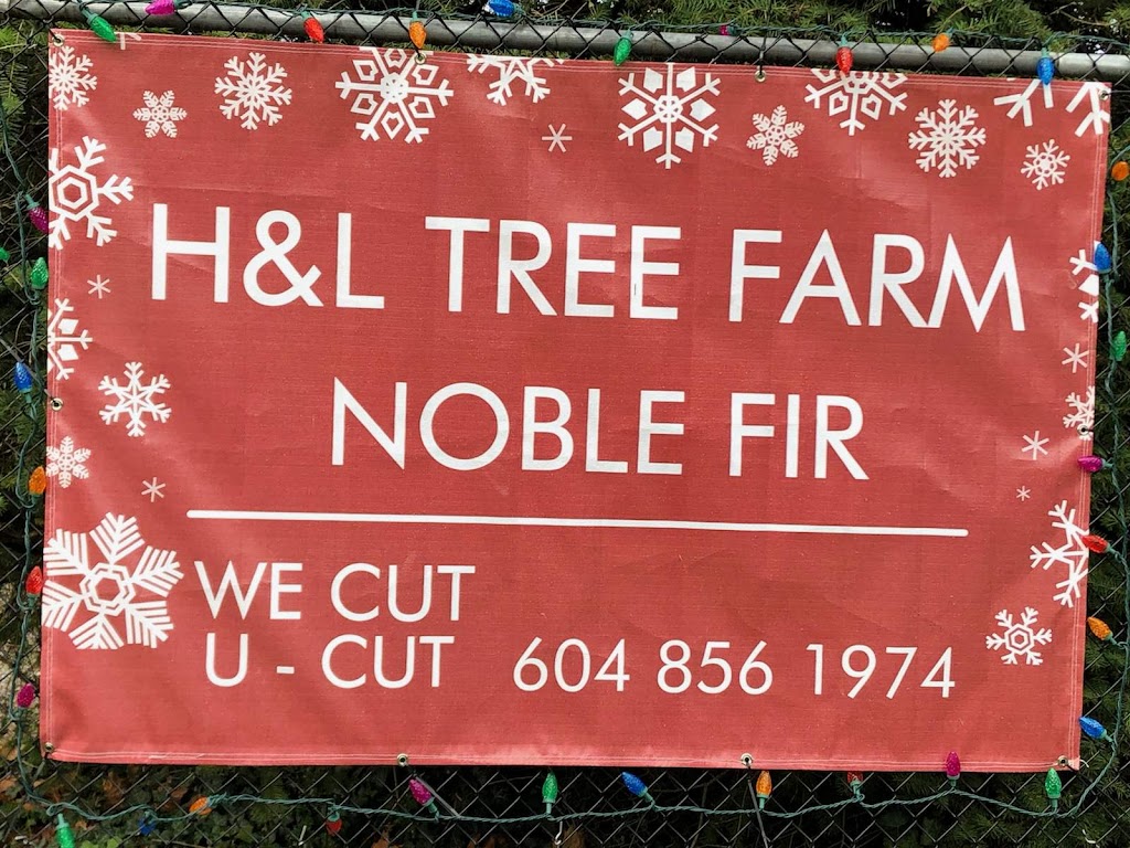 H & L Tree Farm | 5319 240 St, Langley, BC V2Z 2N3, Canada | Phone: (604) 856-1974