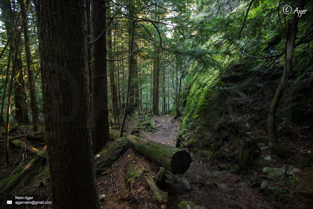 Jug Island Trailend | Indian Arm, Belcarra, BC, Canada