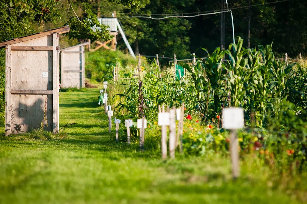 Riverside South Community Garden | Spratt Rd, Gloucester, ON K4M 0E2, Canada | Phone: (613) 822-3079