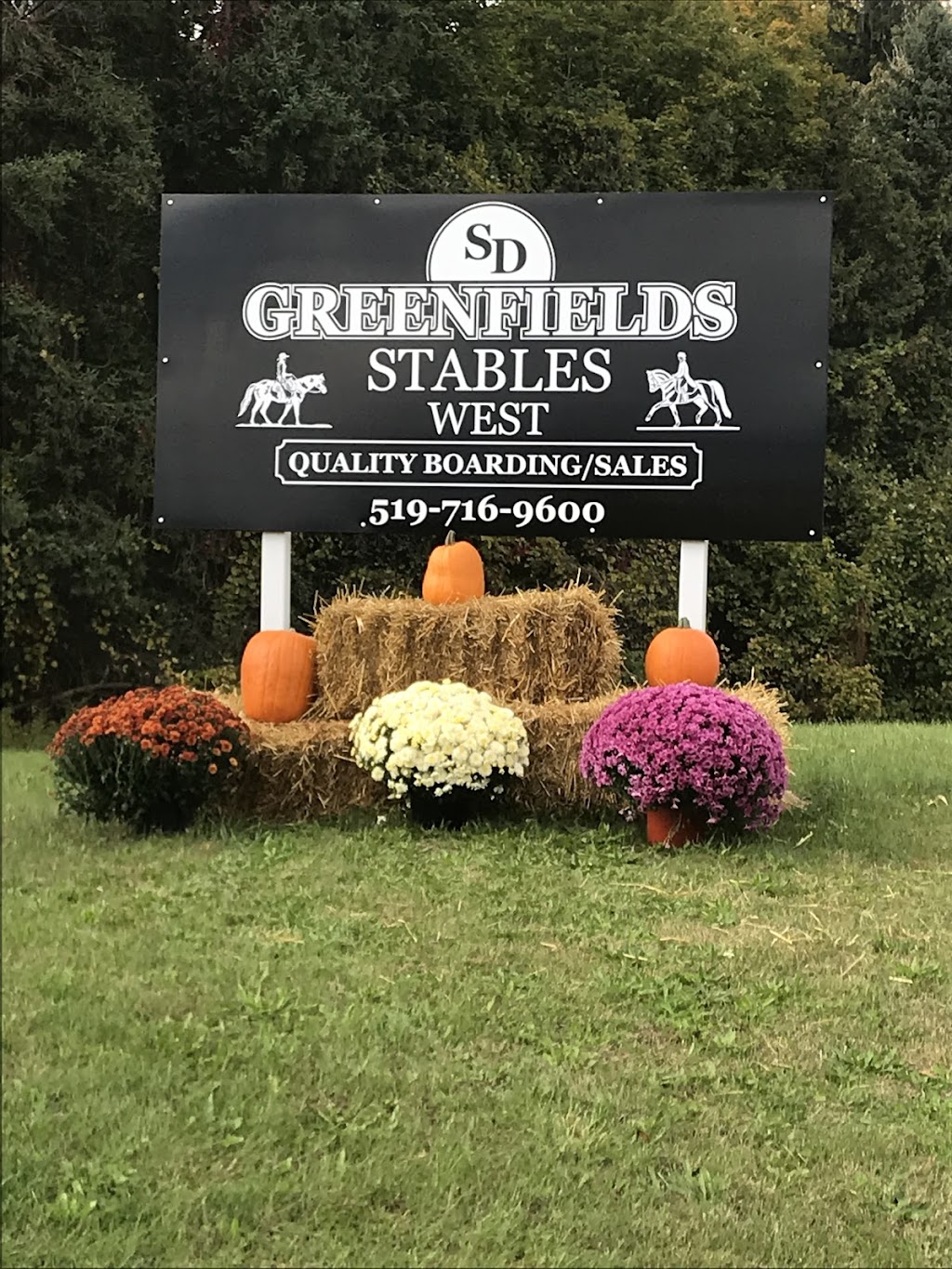 Greenfields Stables West | Township Rd 11, Bright, ON N0J 1G0, Canada | Phone: (519) 716-9600