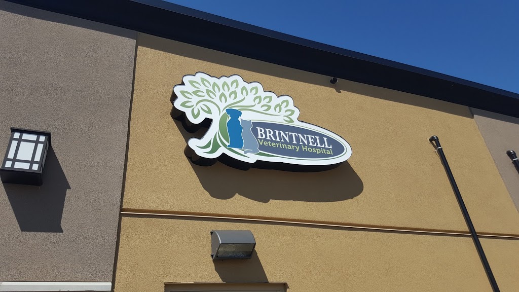 Brintnell Veterinary Hospital | 16635 50 St NW, Edmonton, AB T5Y 0S4, Canada | Phone: (780) 809-8508