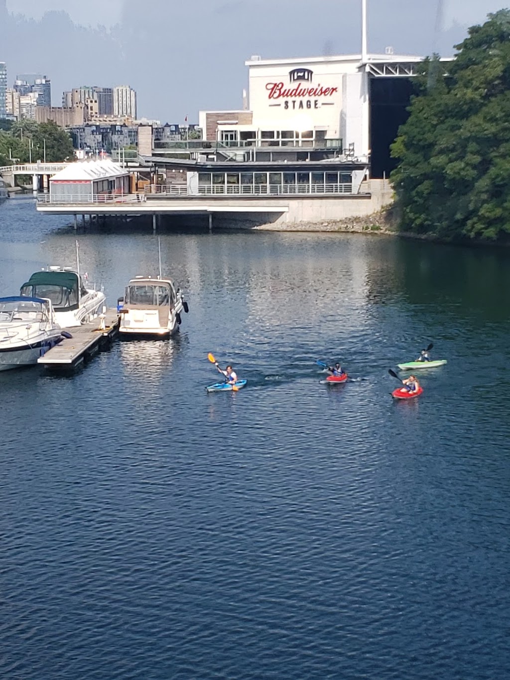 Lake Shore Boat Rentals, Pedal Boat and Kayak | 955 Lake Shore Blvd W, Toronto, ON M6K 3B9, Canada | Phone: (416) 836-4724