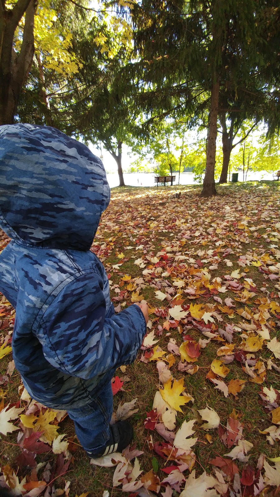 Parc Gagné | Laval-des-Rapides, Laval, QC, Canada