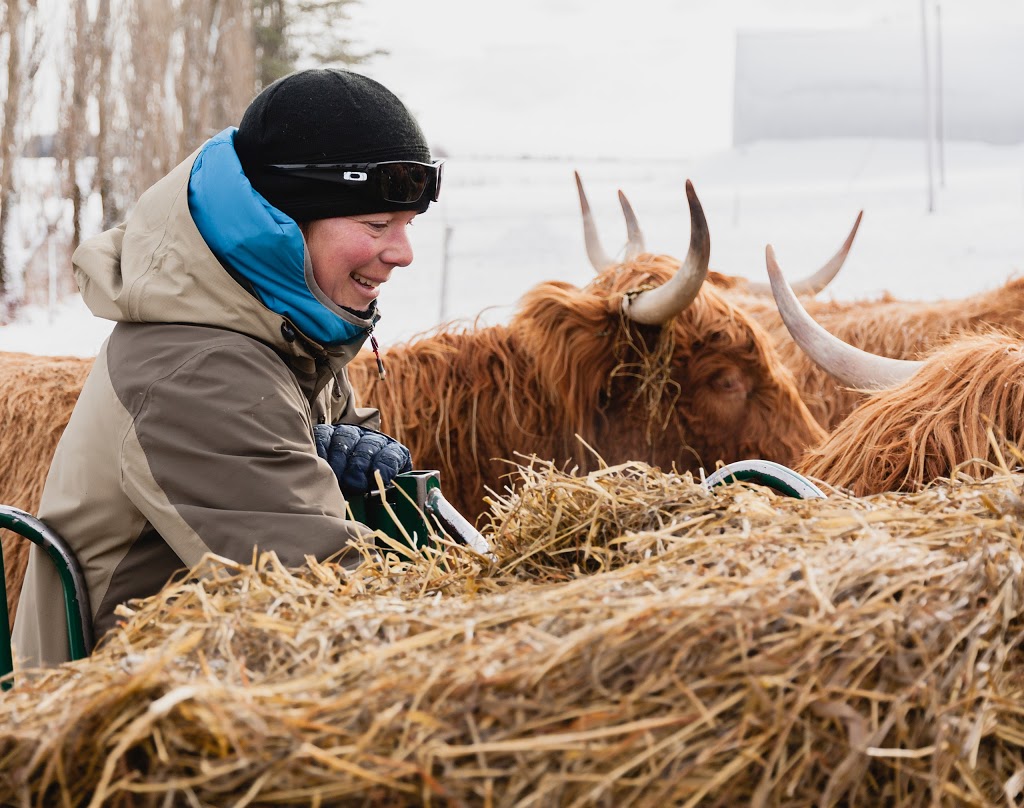 Ferme Highland Lotbinière | 4384 Rang Juliaville, Saint-Édouard-de-Lotbinière, QC G0S 1Y0, Canada | Phone: (418) 796-0046