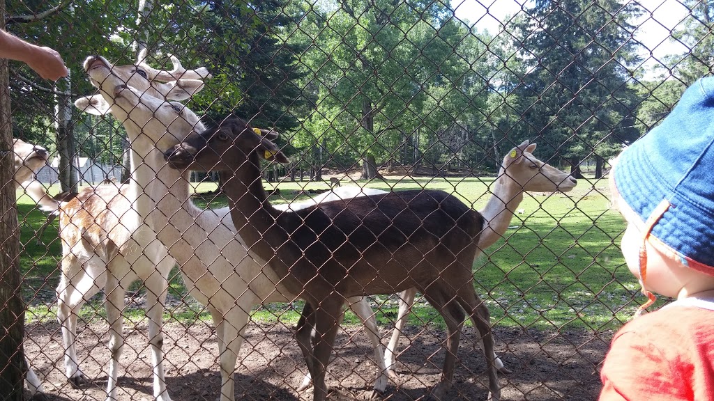 Zoo St-Édouard | 3381 Rang des Chutes, Saint-Édouard-de-Maskinongé, QC J0K 2H0, Canada | Phone: (819) 268-5150