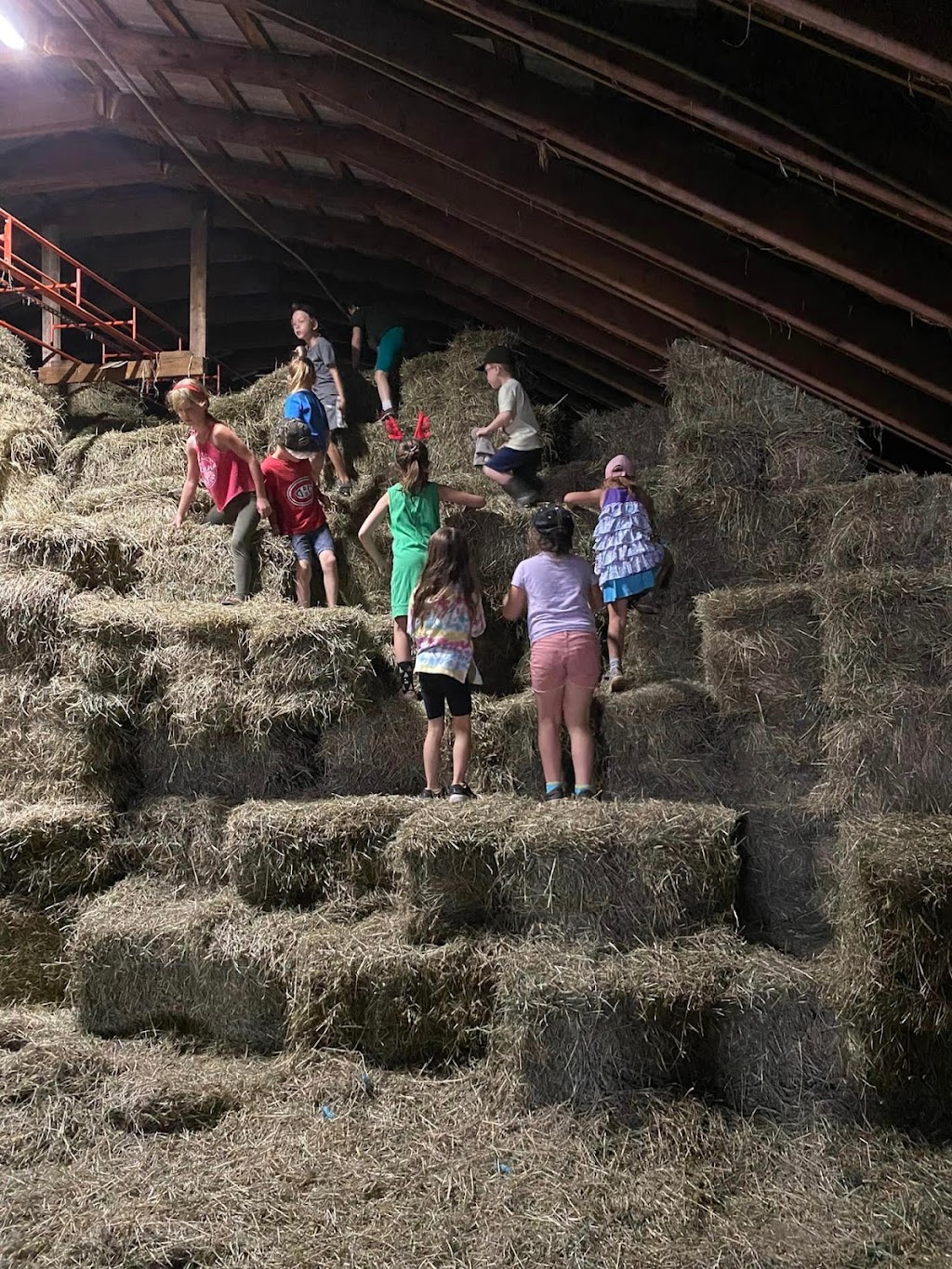 Gemme mon été à la ferme | 318 Av. des Érables, Brigham, QC J2K 0H1, Canada | Phone: (450) 522-9018