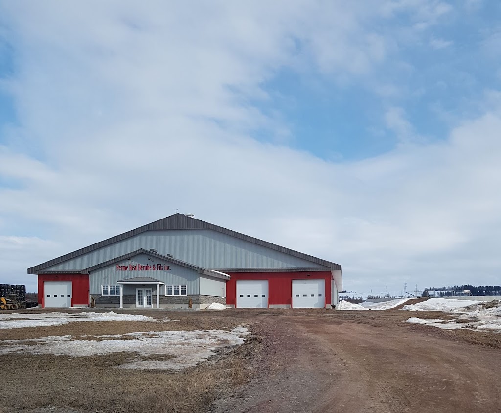 Ferme Réal Bérubé Et Fils Inc | 234 QC-291, Cacouna, QC G0L 1G0, Canada | Phone: (418) 867-2566