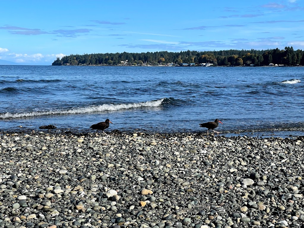 Macs Oysters Ltd | 7162 South, Island Hwy S, Fanny Bay, BC V0R 1W0, Canada | Phone: (250) 335-2233