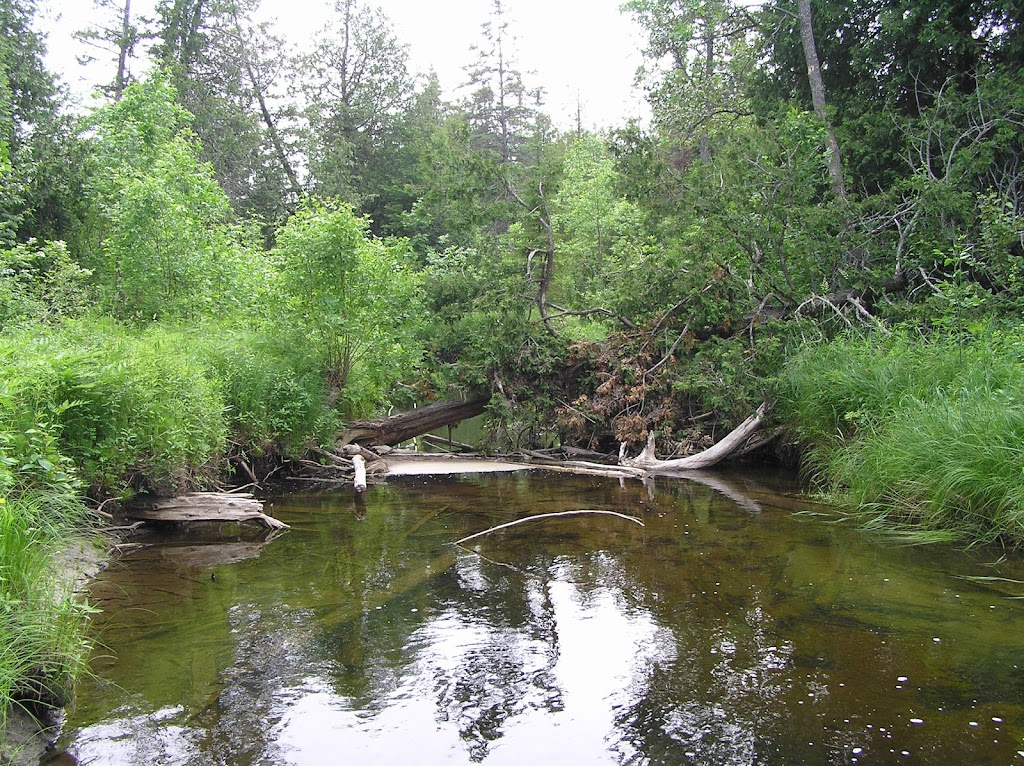 Crane River Lot | Tobermory, ON N0H 2R0, Canada | Phone: (519) 596-2233