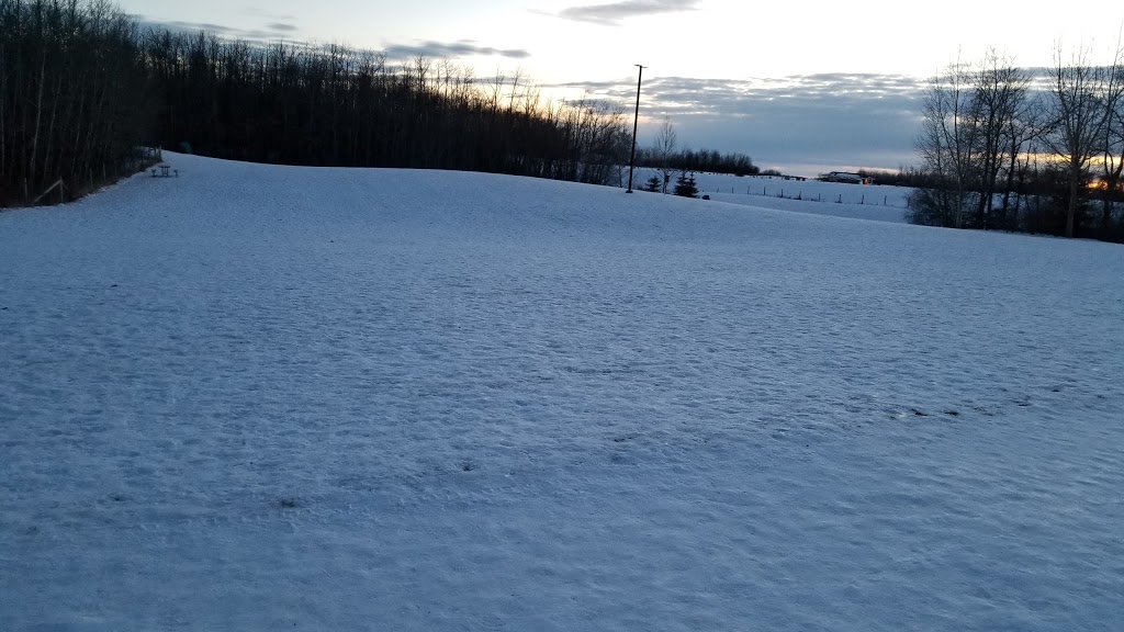 Cpl. Jim Galloway Memorial Off Leash Area | 41 Century Close, Spruce Grove, AB T7X 3B3, Canada