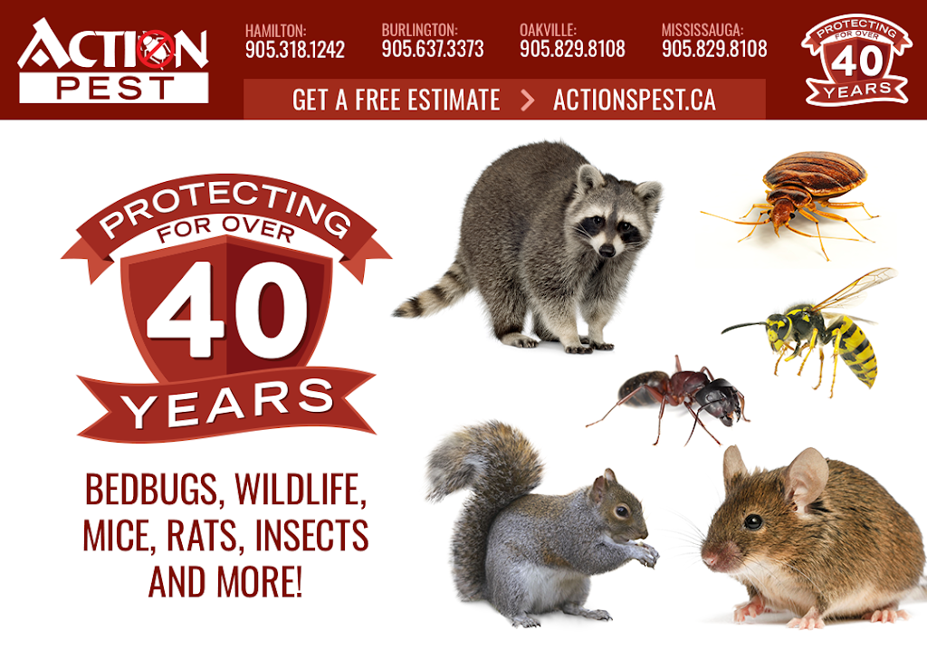 Action Pest Control Services | 263 W 2nd St, Hamilton, ON L9C 3G6, Canada | Phone: (905) 318-1242