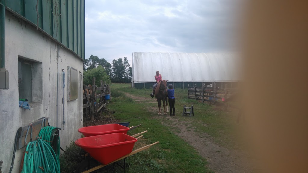 Tanglewood Farm | 31 Zufelt Rd, Consecon, ON K0K 1T0, Canada | Phone: (613) 392-8239