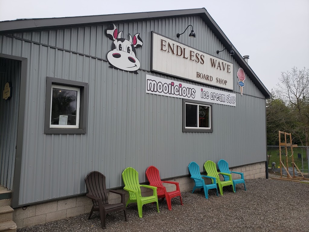 Endless Wave Board Shop | 141 High St, Sutton, ON L0E 1R0, Canada | Phone: (905) 596-9283