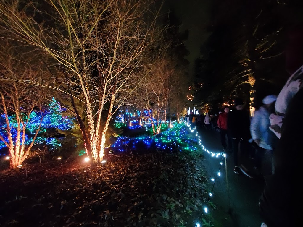 VanDusen Glow in the Garden | 5251 Oak St, Vancouver, BC V6M 4H1, Canada | Phone: (604) 878-9274