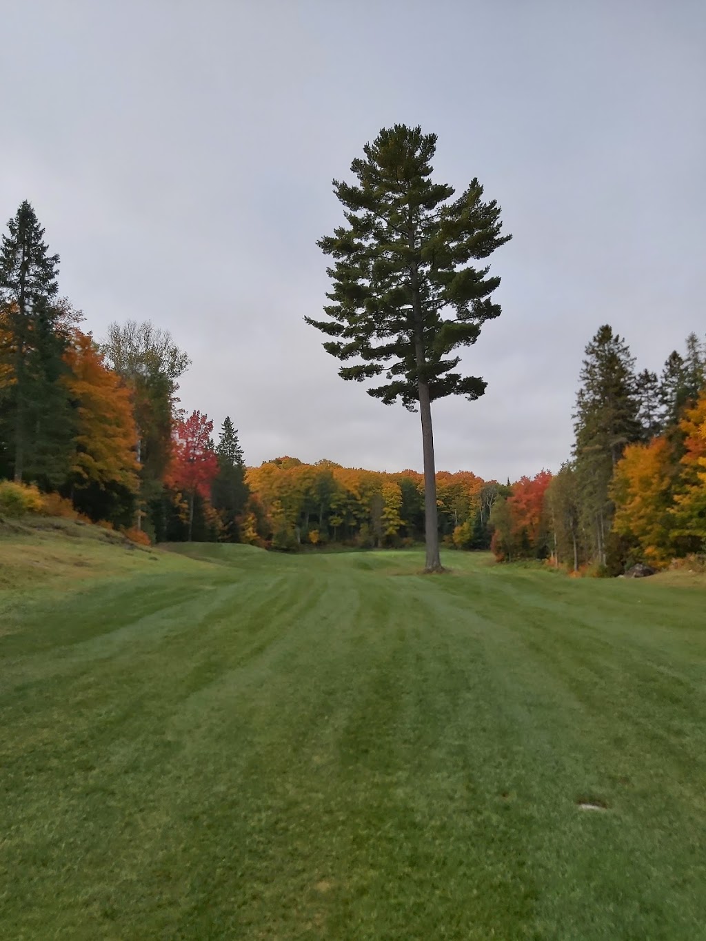 Marvel Rapids Golf Course | 8 Km North of Apsley Hwy 28, Apsley, ON K0L 1A0, Canada | Phone: (705) 656-4653