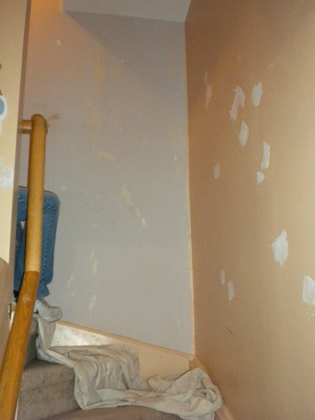 Haus Painters | 509 Emerald Ave, Oshawa, ON L1J 1K5, Canada | Phone: (905) 626-2363