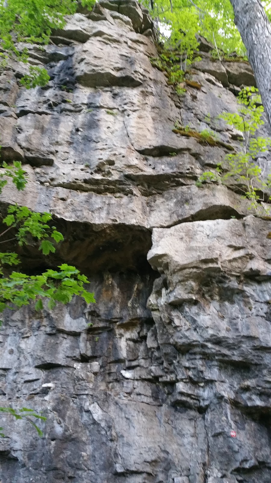 The Turtle Climbing Crag | Burlington, ON L7M 0T7, Canada | Phone: (905) 336-1158